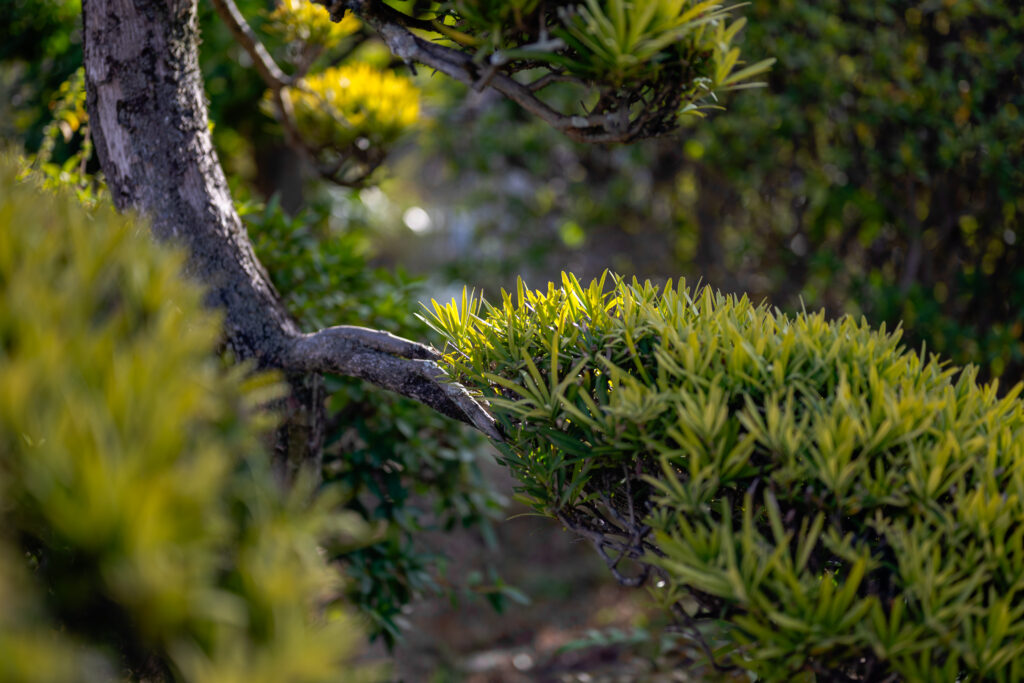 Exterior Renovation with Stonework and Plantingの画像| 風姿|自然と空間の永遠の調和|外部空間デザイン・グラン