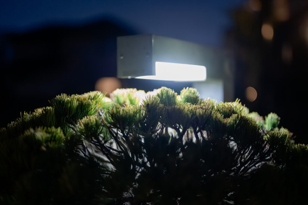 Exterior Renovation with Stonework and Plantingの画像| 風姿|自然と空間の永遠の調和|外部空間デザイン・グラン